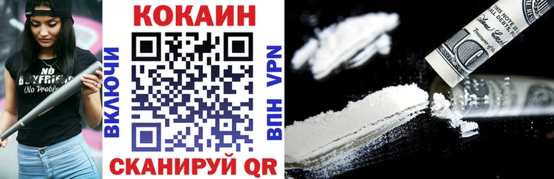 МЕГА ССЫЛКА  купить наркотики цена  Гаджиево  Cocaine Fish Scale 